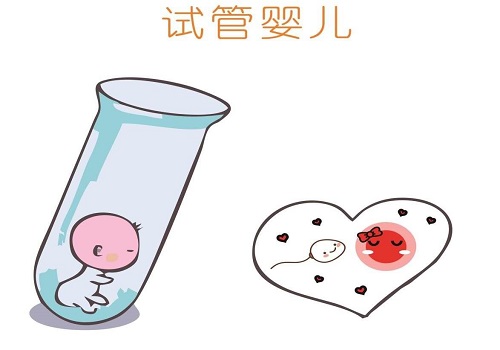 國(guó)內(nèi)醫(yī)院試管比泰國(guó)便宜嗎
