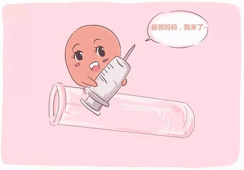 在俄羅斯做試管價格多少