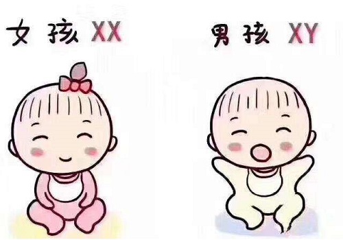 試管嬰兒到底能不能選擇